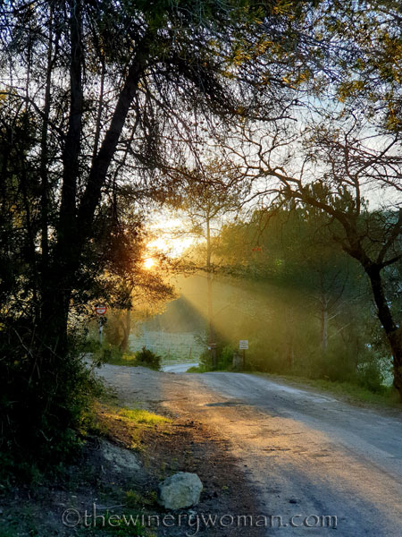 Sunrise_3.08.2020_TWW