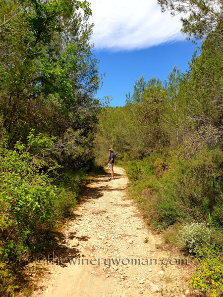 Bob_Freedom_Walk2_5.2.2020_TWW