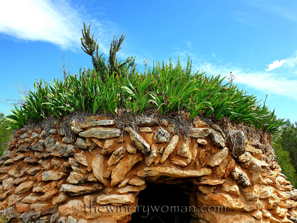 Stone_Hut_No_Irises_5.2.2020_TWW